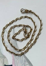 Cavalier Chain with swivel dog clasps in Gold Fill and Esprit Sparrow Necklace