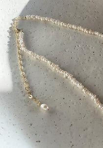 Bondi 14k Gold Freshwater Pearl Necklace